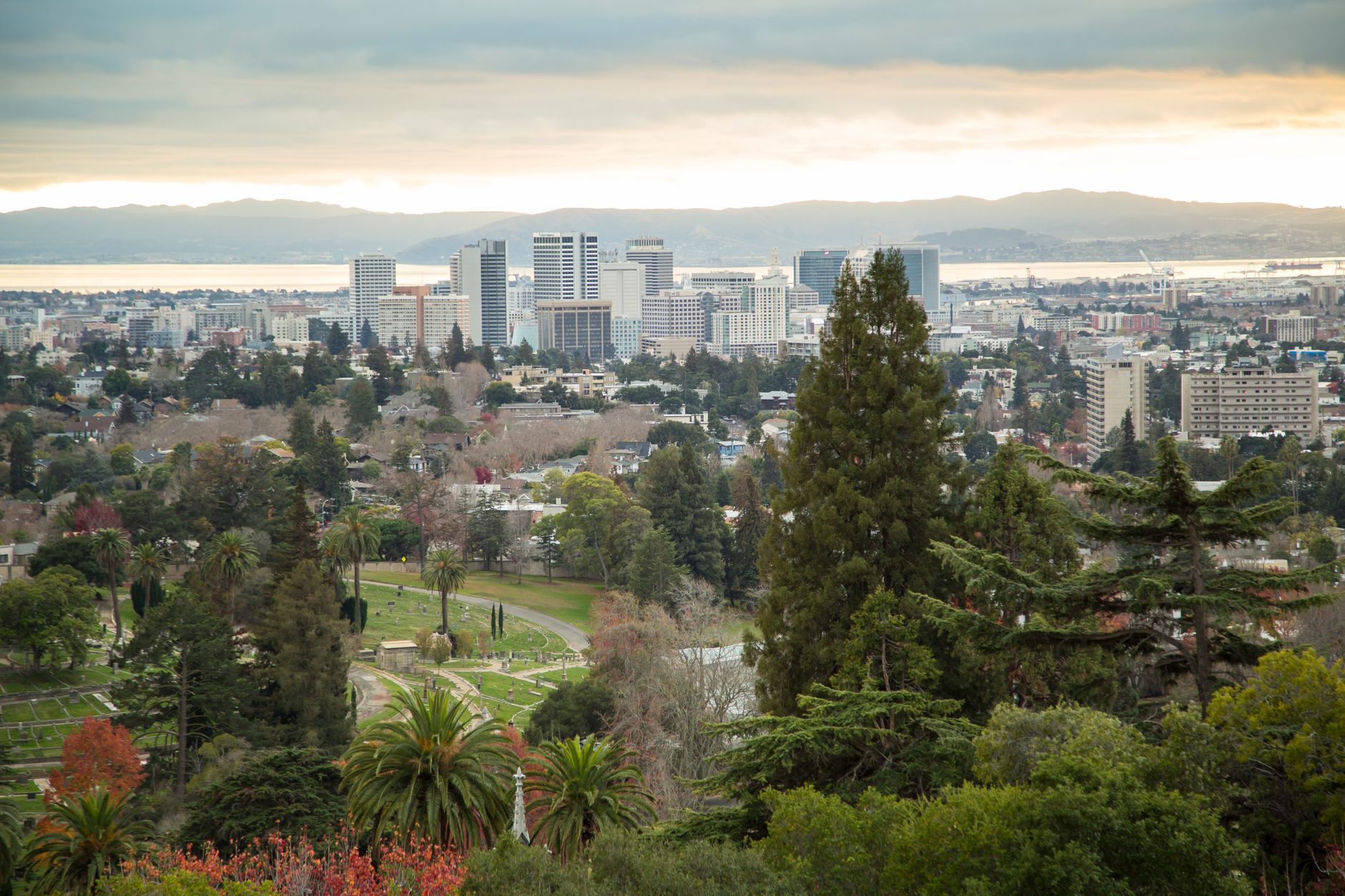 The Oakland skyline over the bay
